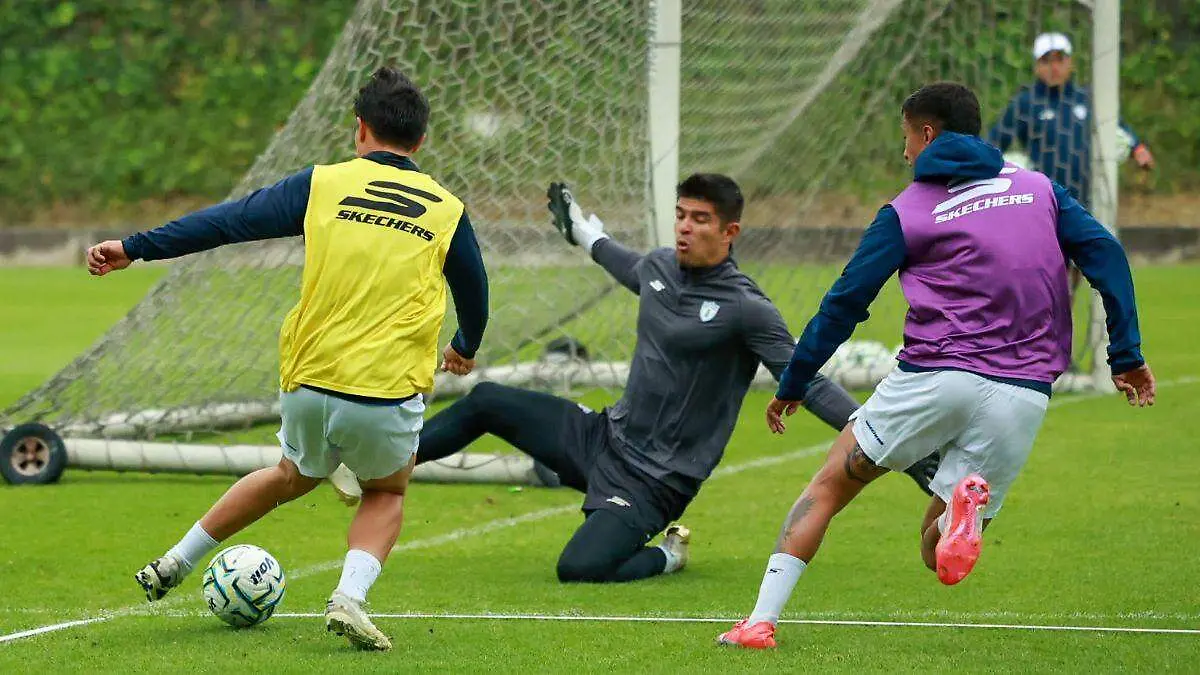 CARLOS MORENO