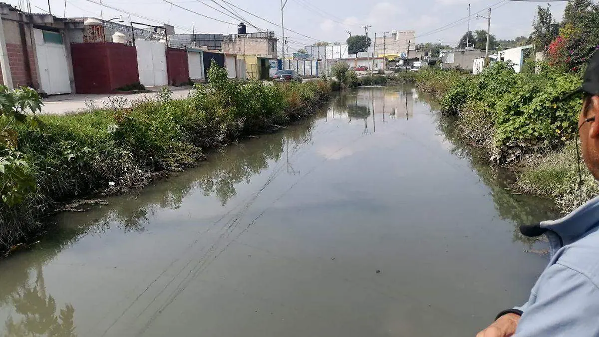 WEB CANAL VIEJO REQUENA BUENAA