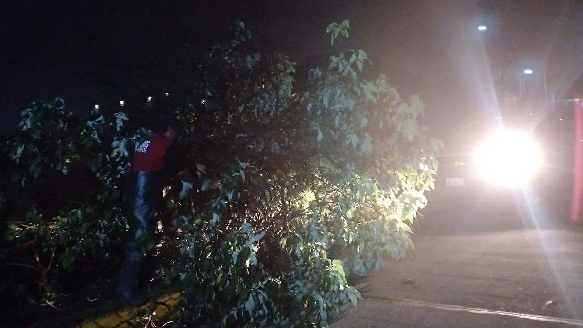WEB ESTRAGOS LLUVIAS BUENAA