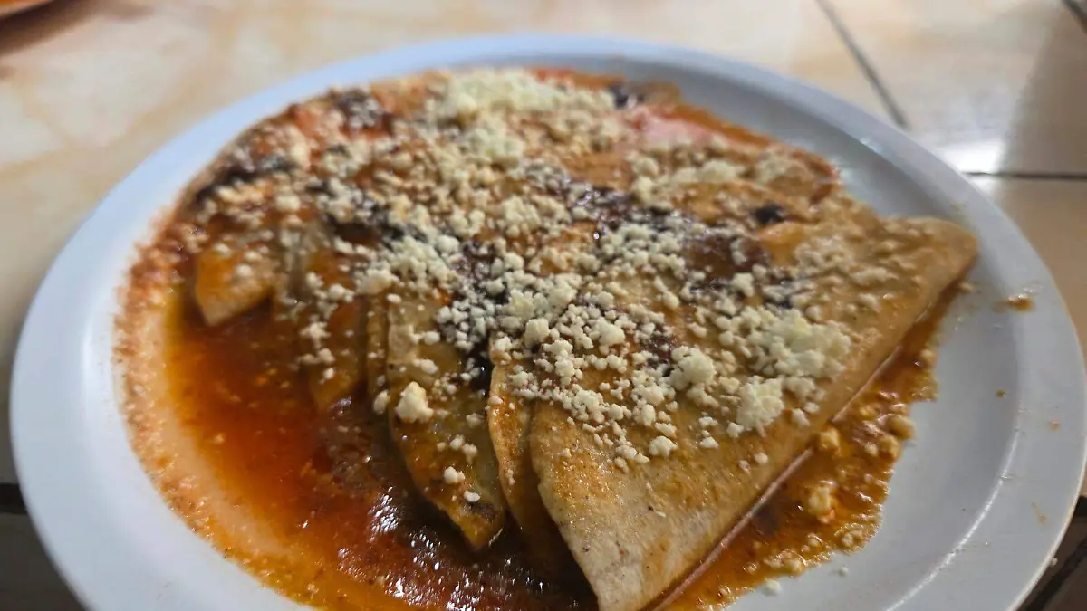 ENCHILADAS ASIENTOS 11