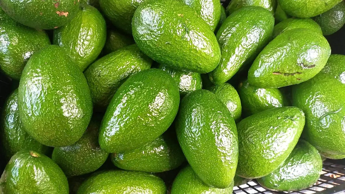 INCREMENTÓ PAHUAS 1