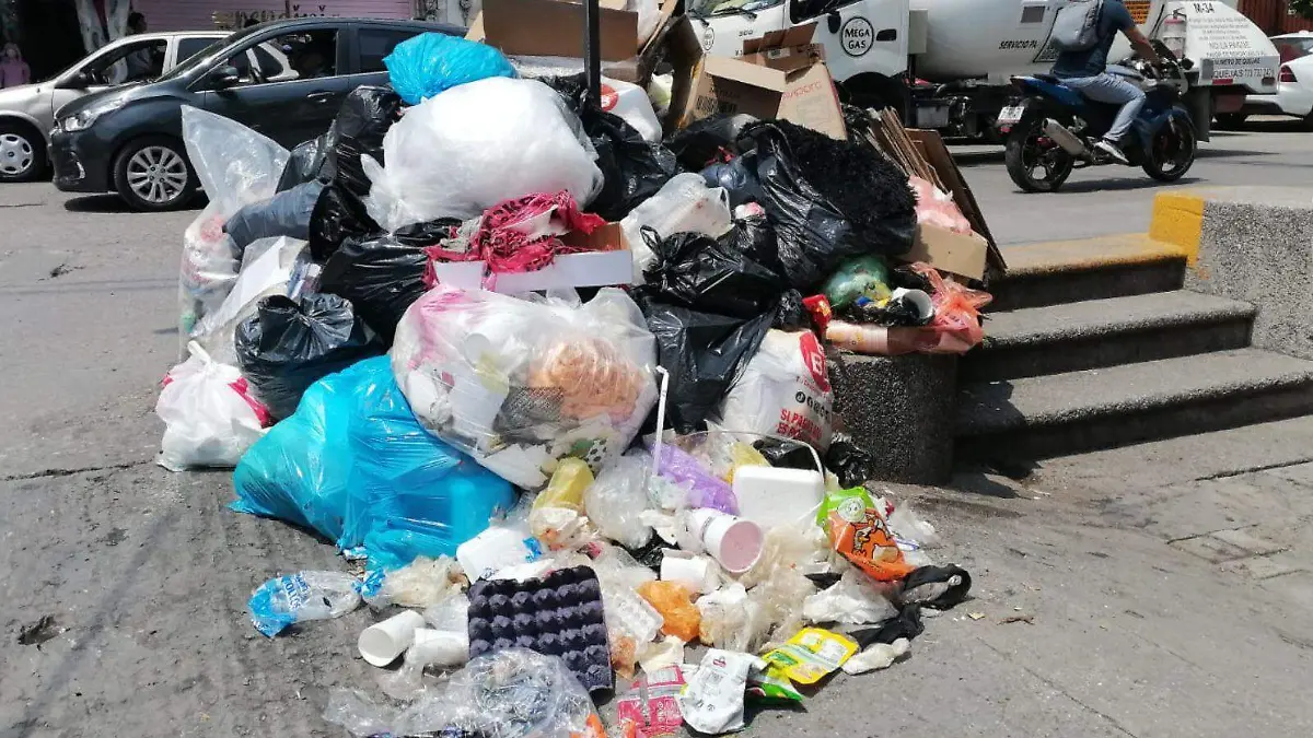 WEB BASURA BUENAA