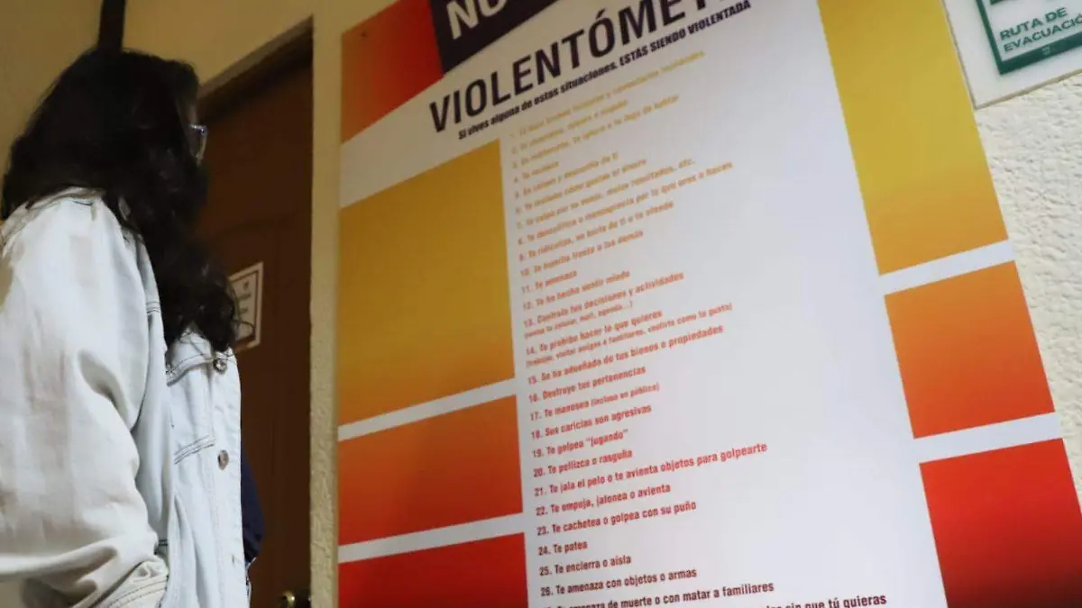 WEB VIOLENCIA MUJERES BUENAA