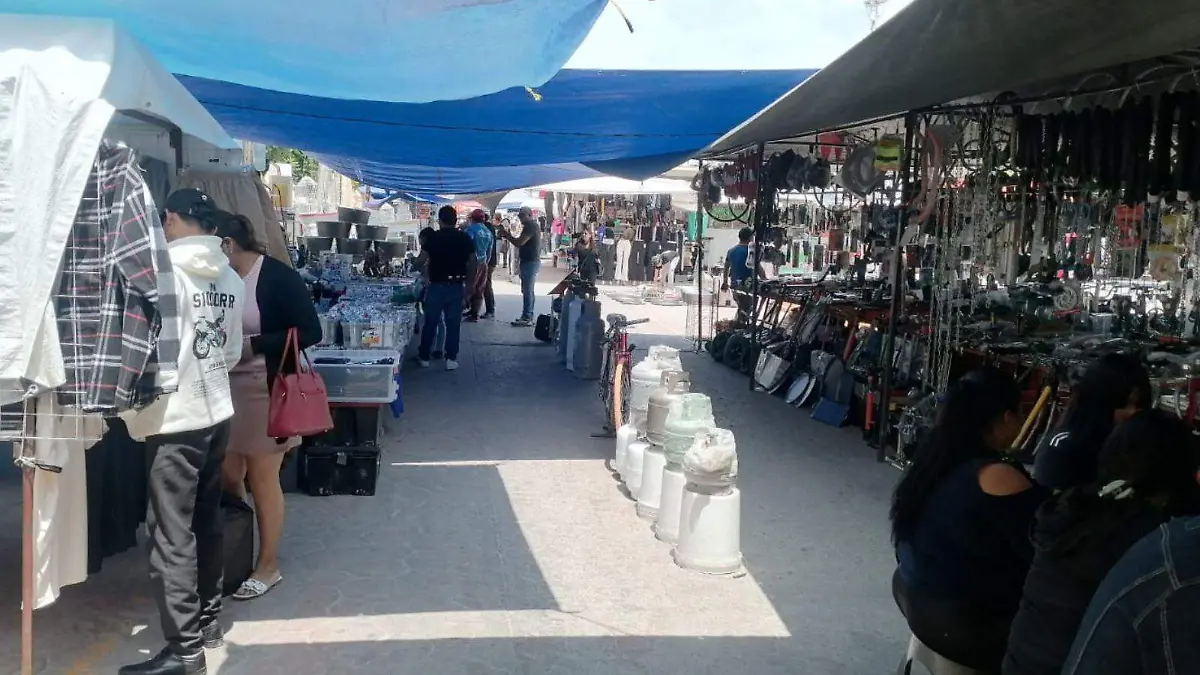 WEB TIANGUIS TLAXCOAPAN BUENAA