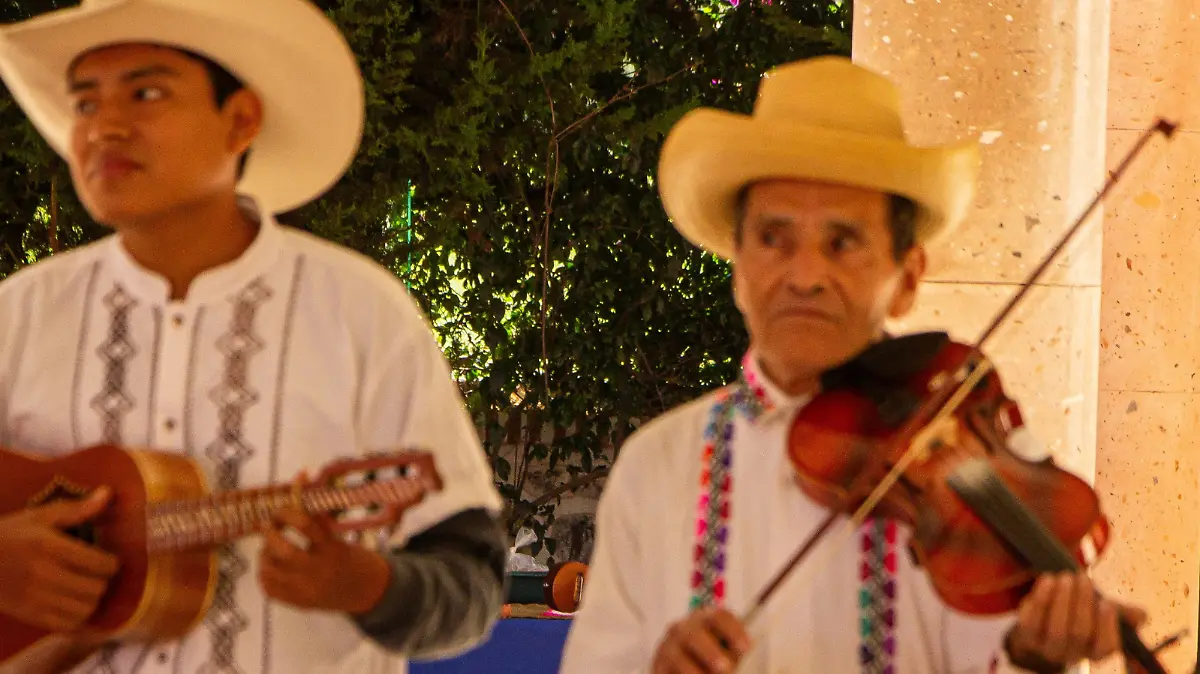violín huapanguero