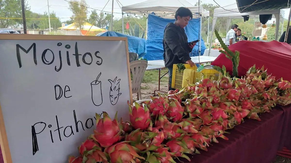 PitahayProdcutos