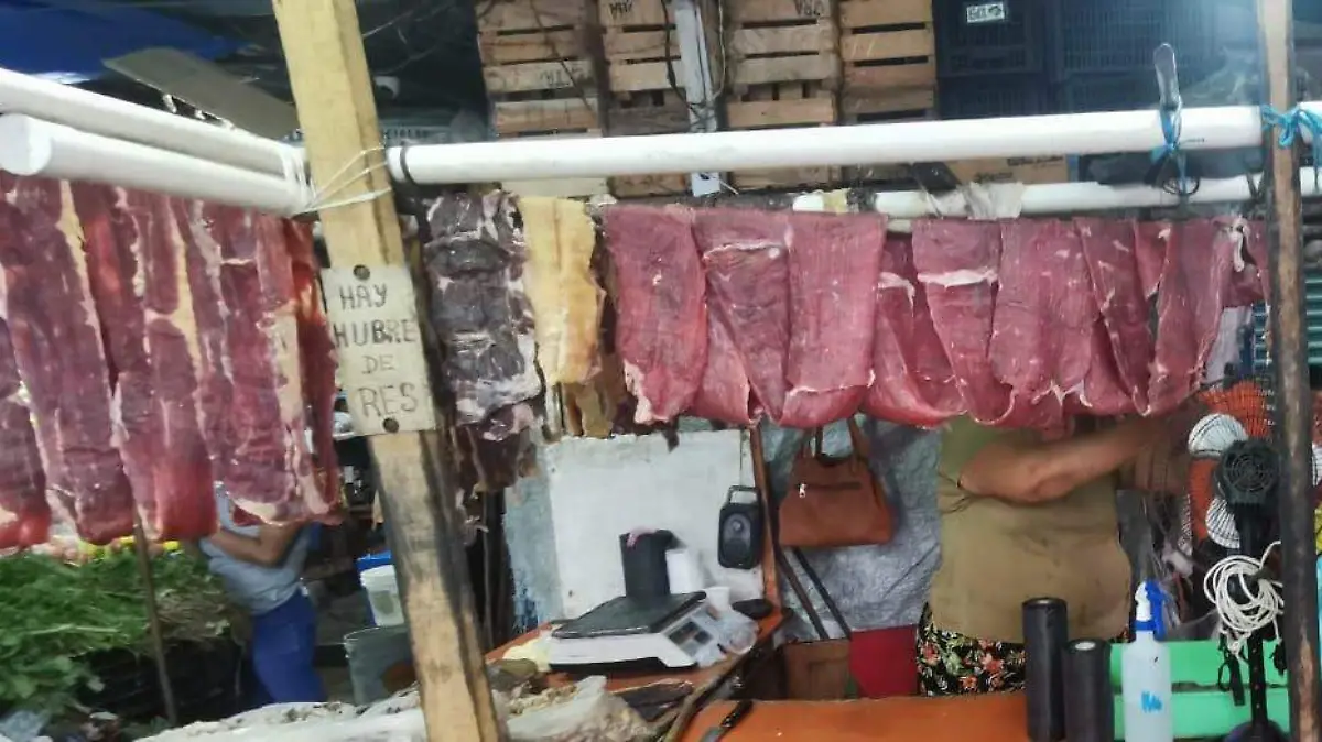 CECINA HUEJUTLA 1