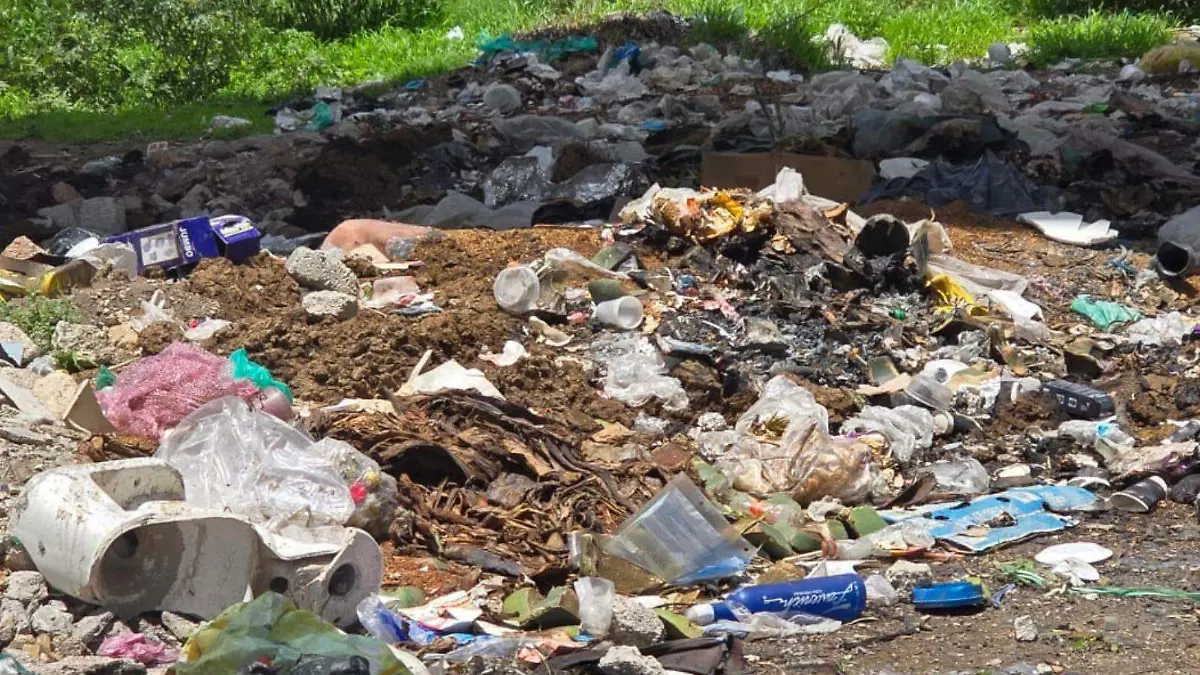 WEB BASURA TLAXCOAPAN BUENAA