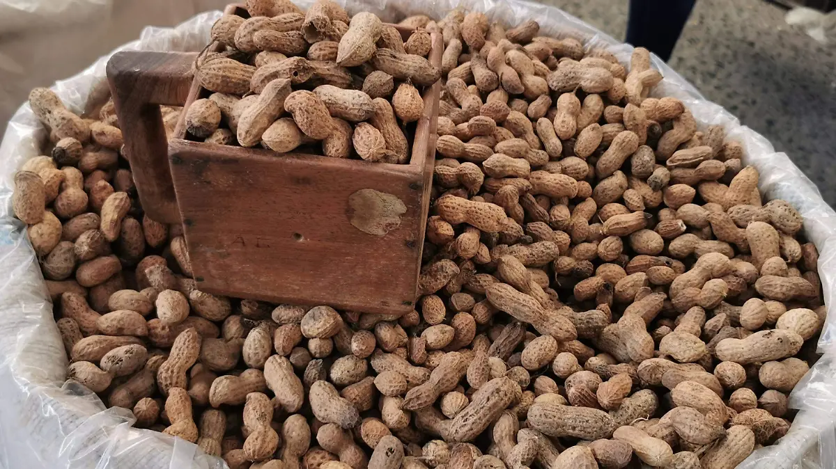 SIEMBRA CACAHUATE 1