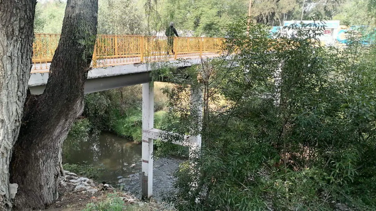 WEB PUENTE BUENAA