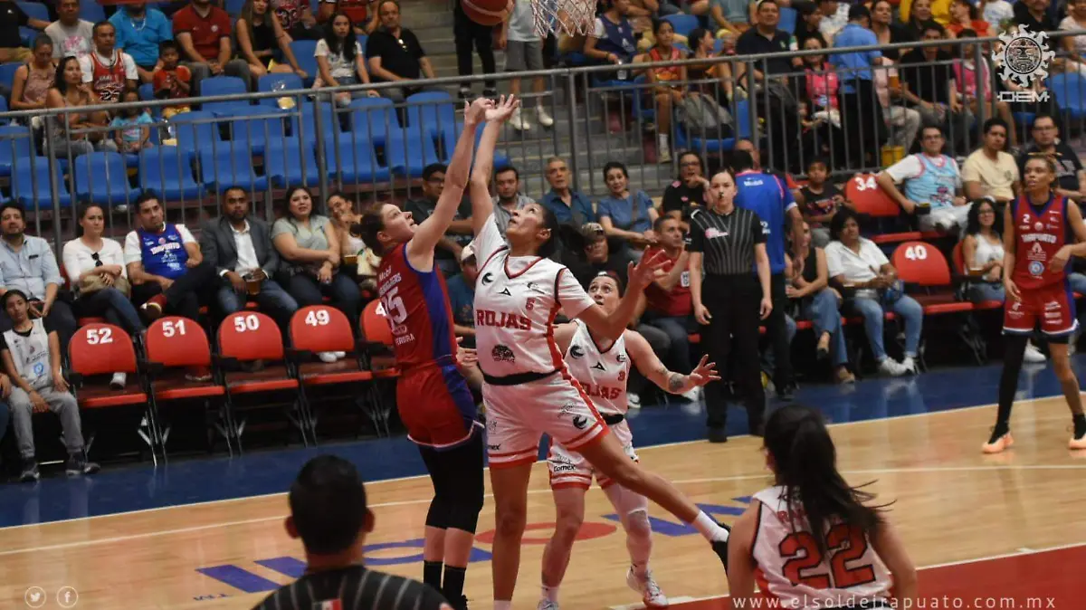 440895208_847544070739596_2350596474898649106_n