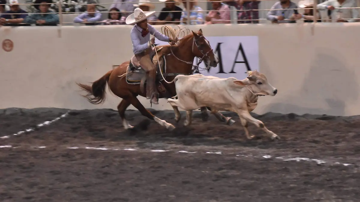 Concluyó-con-éxito