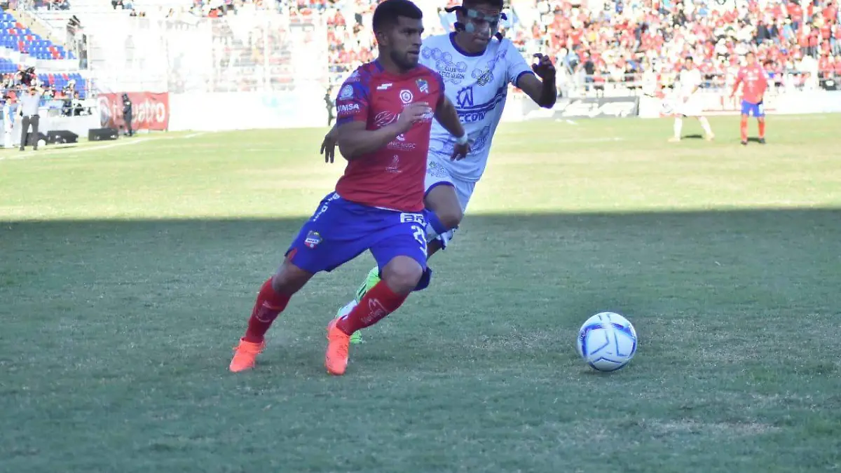 HALCONES