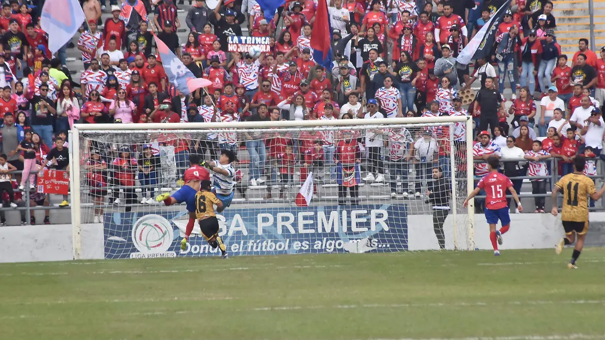 SE ESPERA
