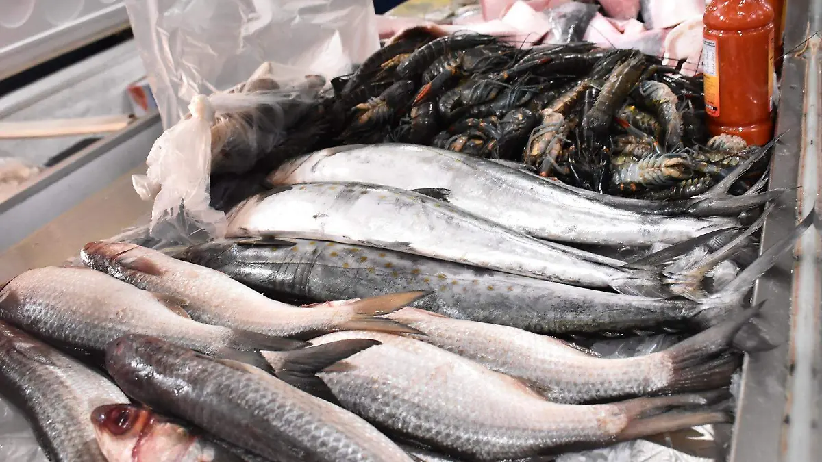 venta del pescado y marisco (3)