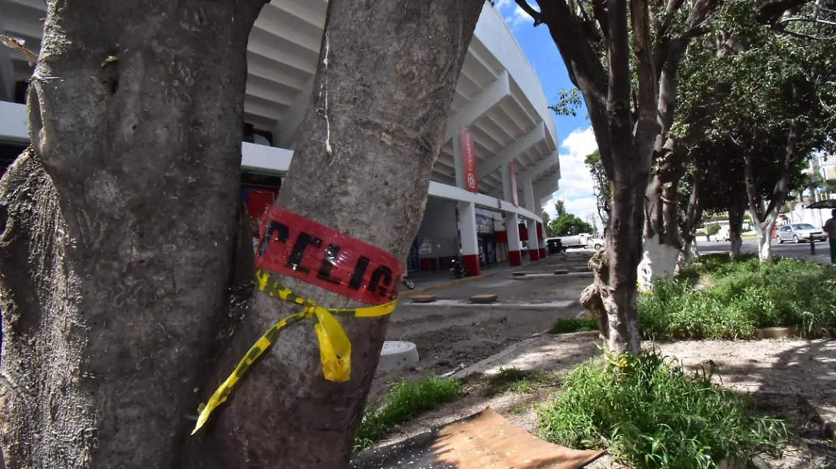 Desde-el-inicio-del-proyecto