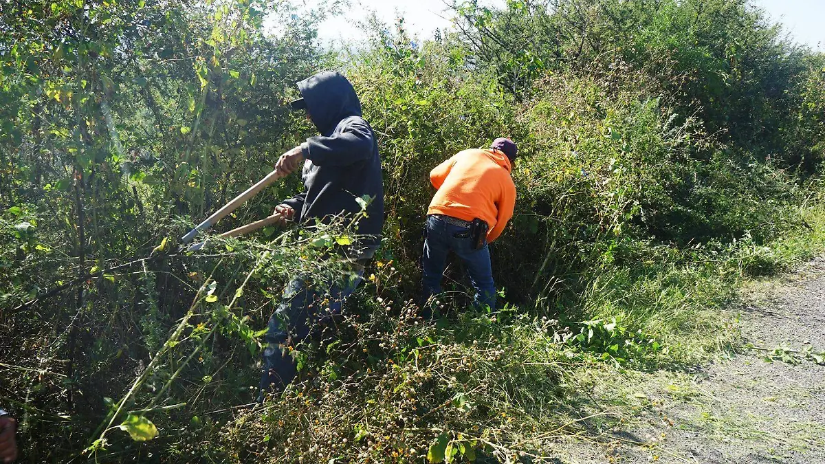 e8bad87f-8ab7-4fd9-9c3d-6661494a4774