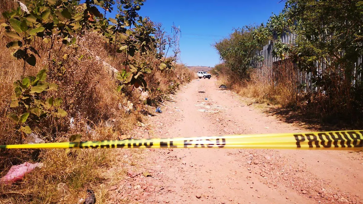 303ba45e-3b51-4895-a968-b355b5b69b62