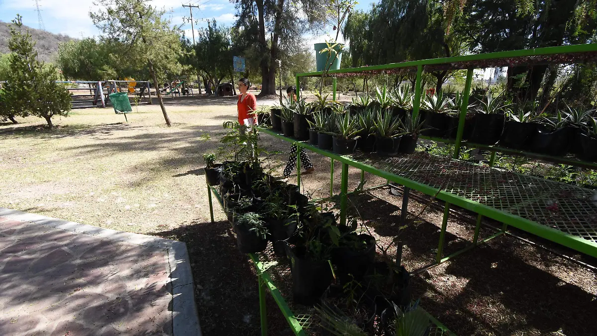 VICITA EL PEI-JESUS GTZ EL SOL DE IRAPUATO (4)