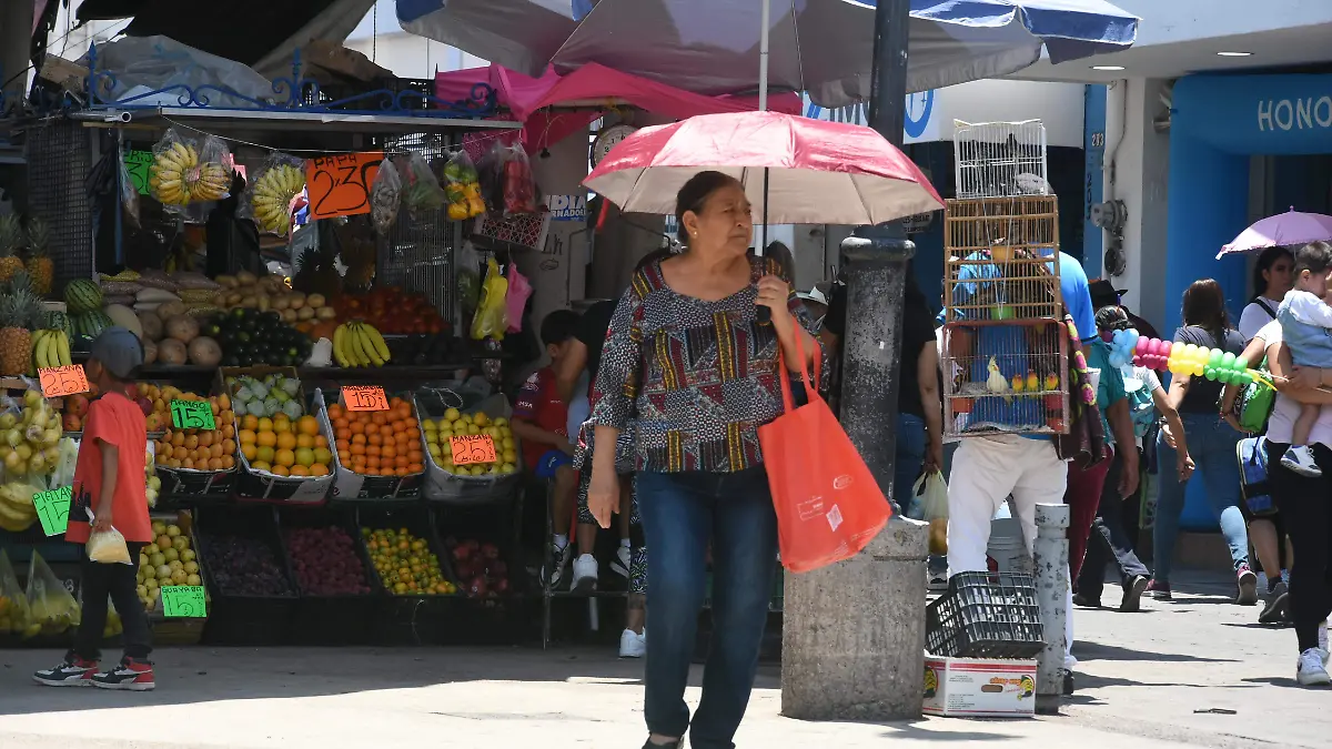 COMERCIO EN CENTRO JESUSGTZ ELSOL DE IRAPUATO (1)