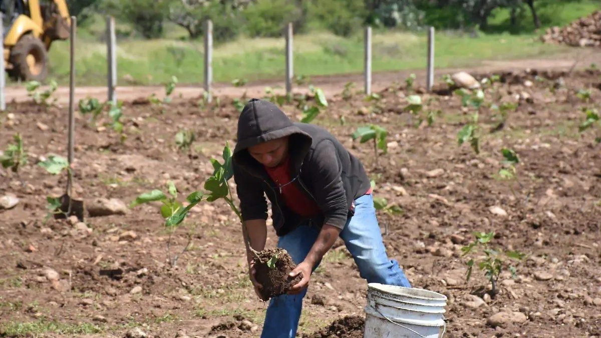 Image 2023-11-10 at 7.41.48 PM (2)