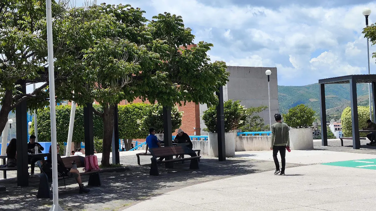 IMG_20240826_133653_1