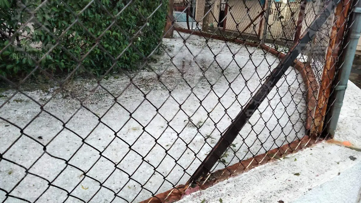 Sorprende-a-habitantes-okokok 