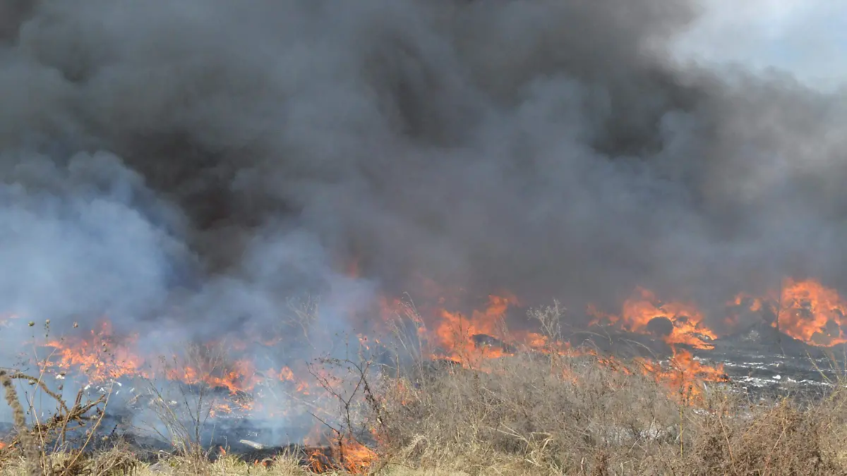 CONTAMINACIN GTO (21)