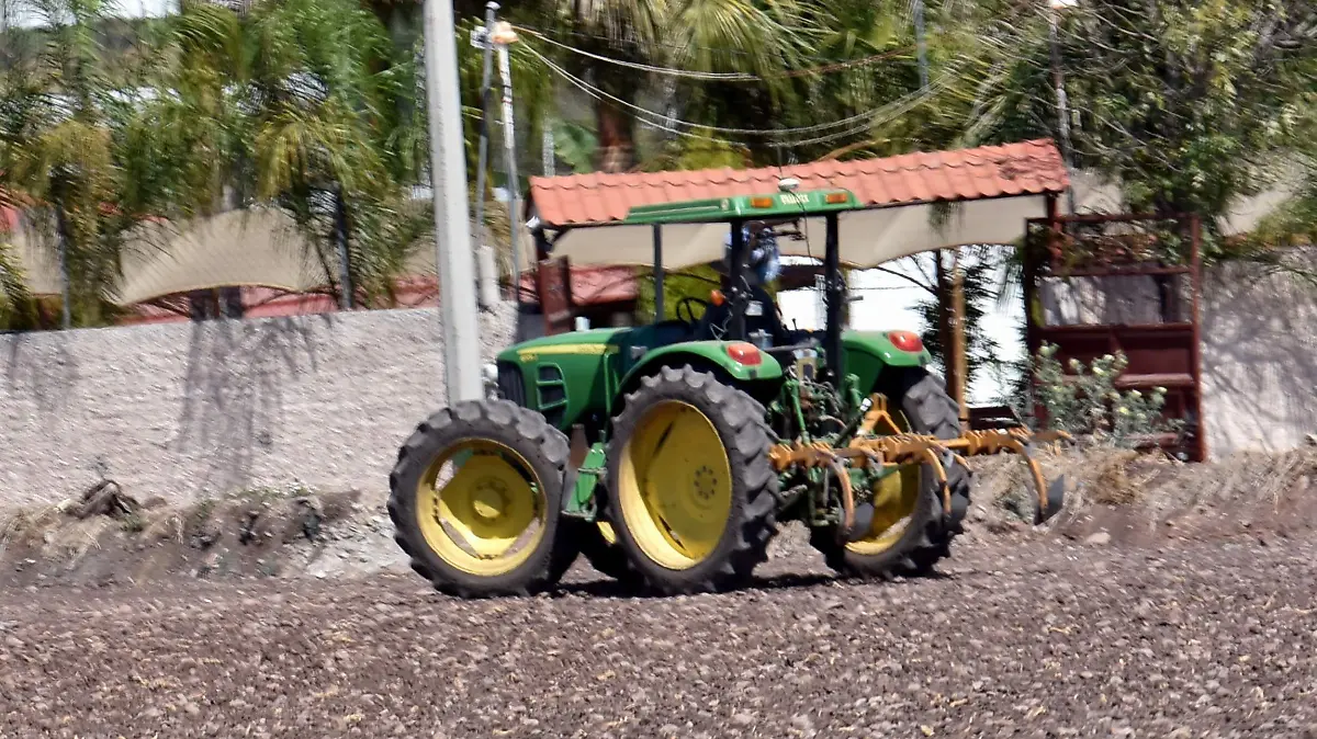 ROBO HORMAGA EN EL CAMPO .- RICARDO SANCHEZ.- EL SOL DE IERAPUATO (1)