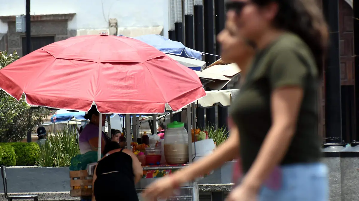 CARRITOS DECENTRO HISTORICO JESUS GTZ EL SOL DE IRAPUATO (3)