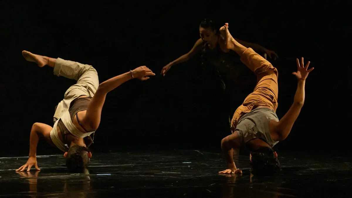 DANZA CONTEMPORANEA (8)