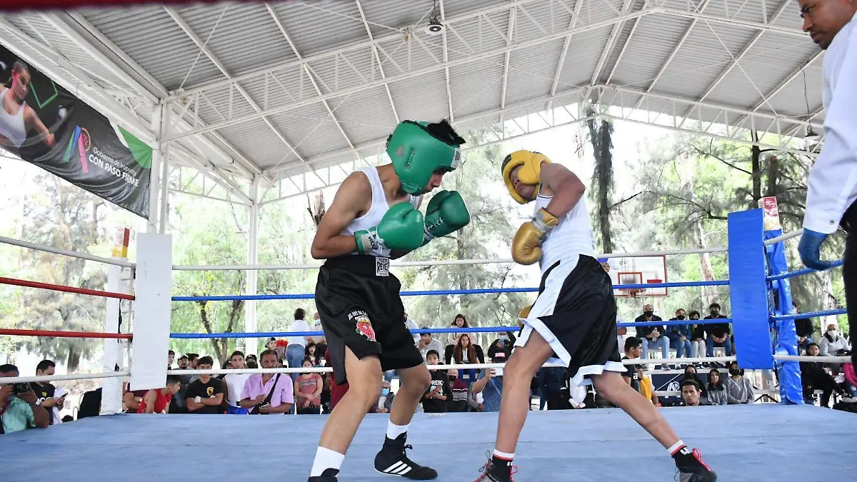 Juegos Populares Irapuato (1)