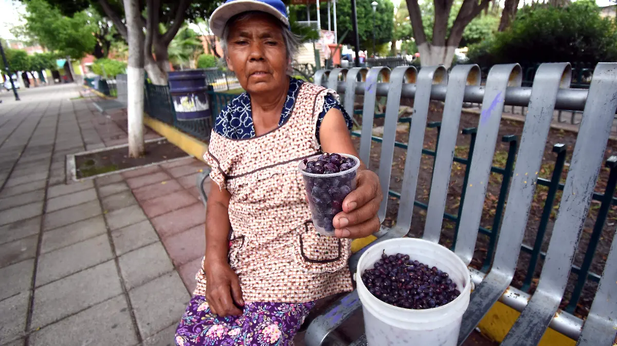 SENORA GUADALUPE VENDE SUS GARAMBULLOS JESUS GTZ EL SOL DE IRAPUATO (4)