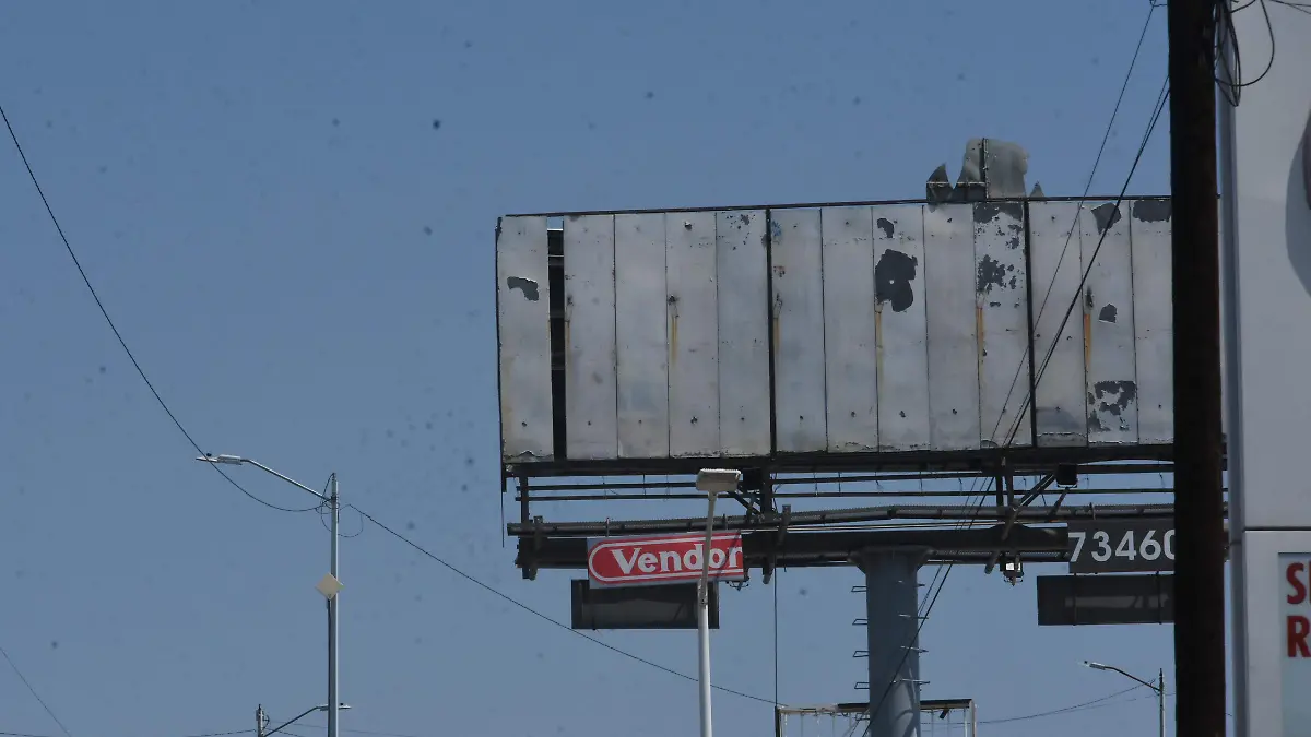 ESPECTACULARES JESUS GTZ EL SOL DE IRAPUATO (4)