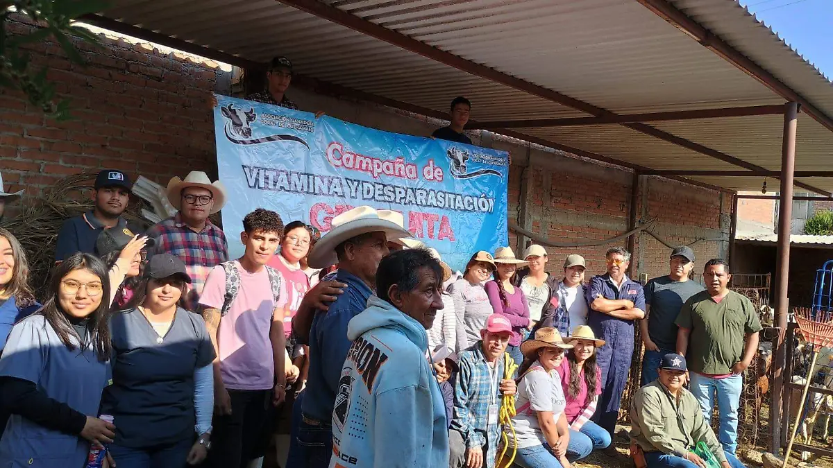 33a8673e-050e-4c28-8417-16da1e8ab415