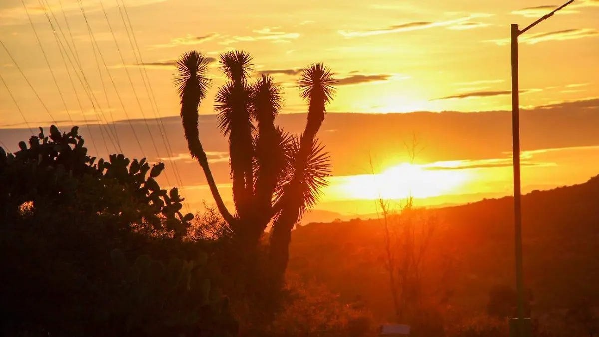 Image 2024-05-24 at 7.23.40 PM