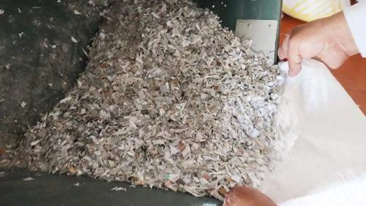 INE-realiza-trituración 