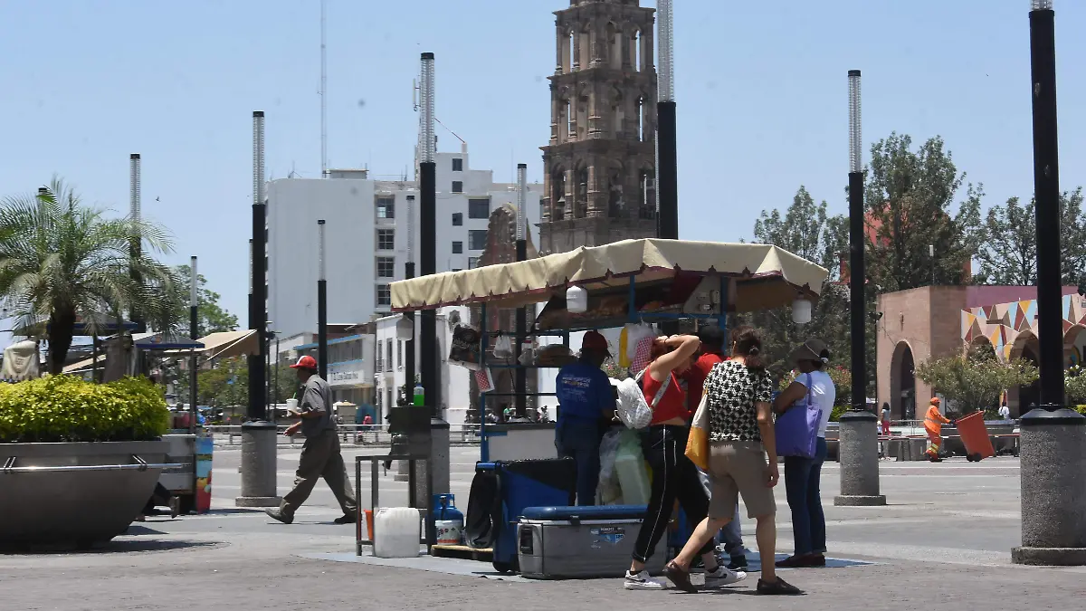 COMERCIO EN CENTRO JESUSGTZ ELSOL DE IRAPUATO (3)