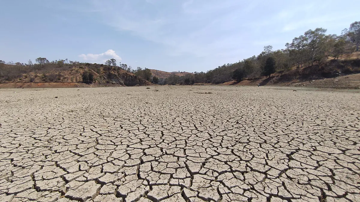 LLAMA ACAUG A IMPLEMENTAR SISTEMAS DE CAPTACION PARA AHORRAR AGUA(2)