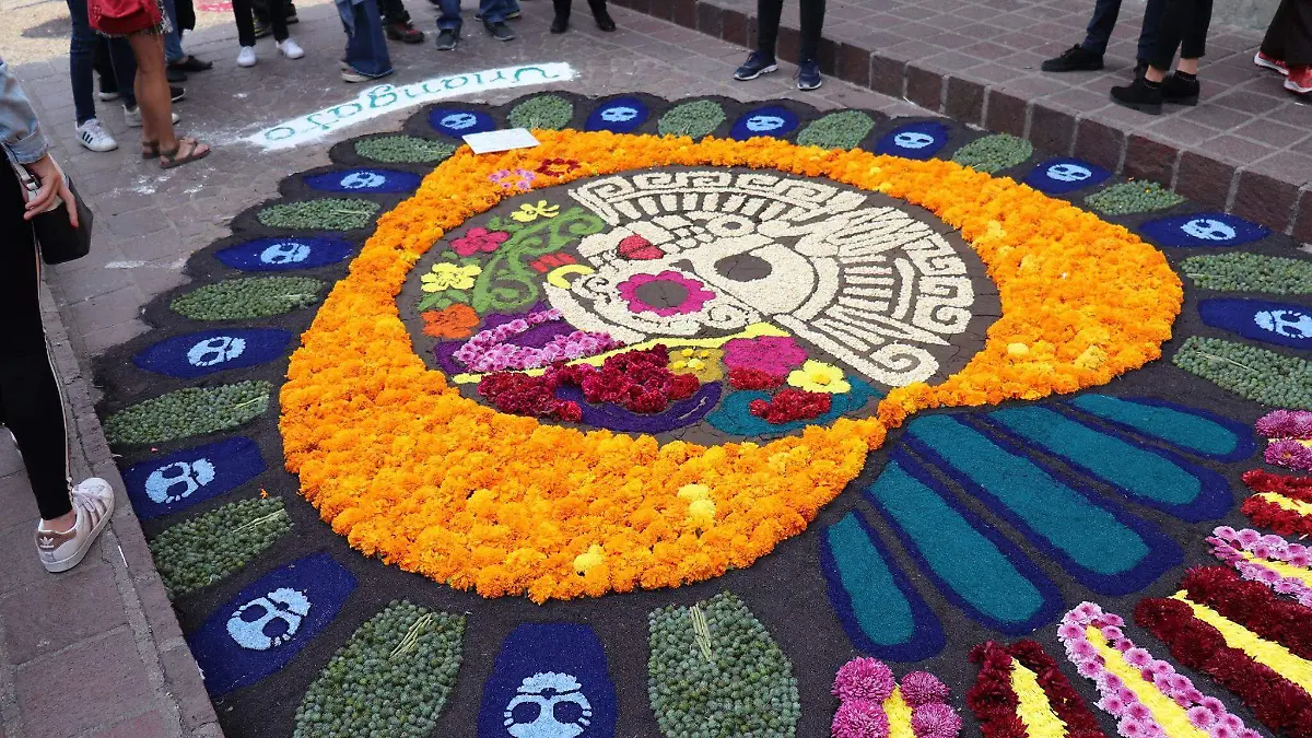 Alfombristas Alhondiga