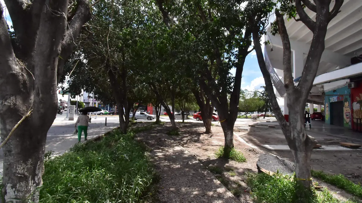 El-funcionario-municipal 