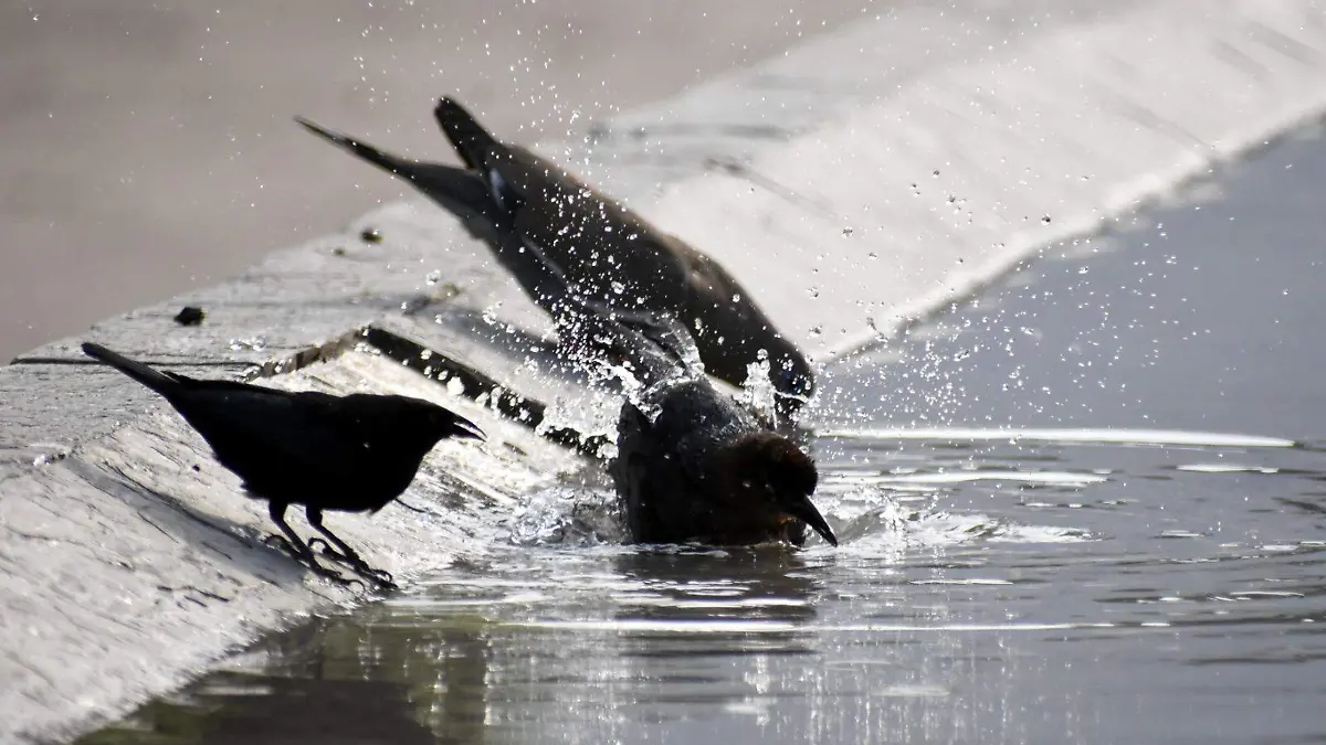 Durante-el-fin-de-semana-okokok