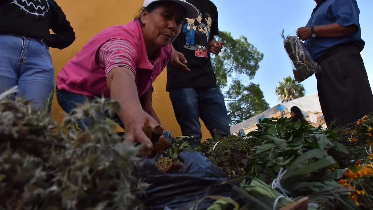 Irapuatenses muestran su devoción a San Francisco de Asís  (4)