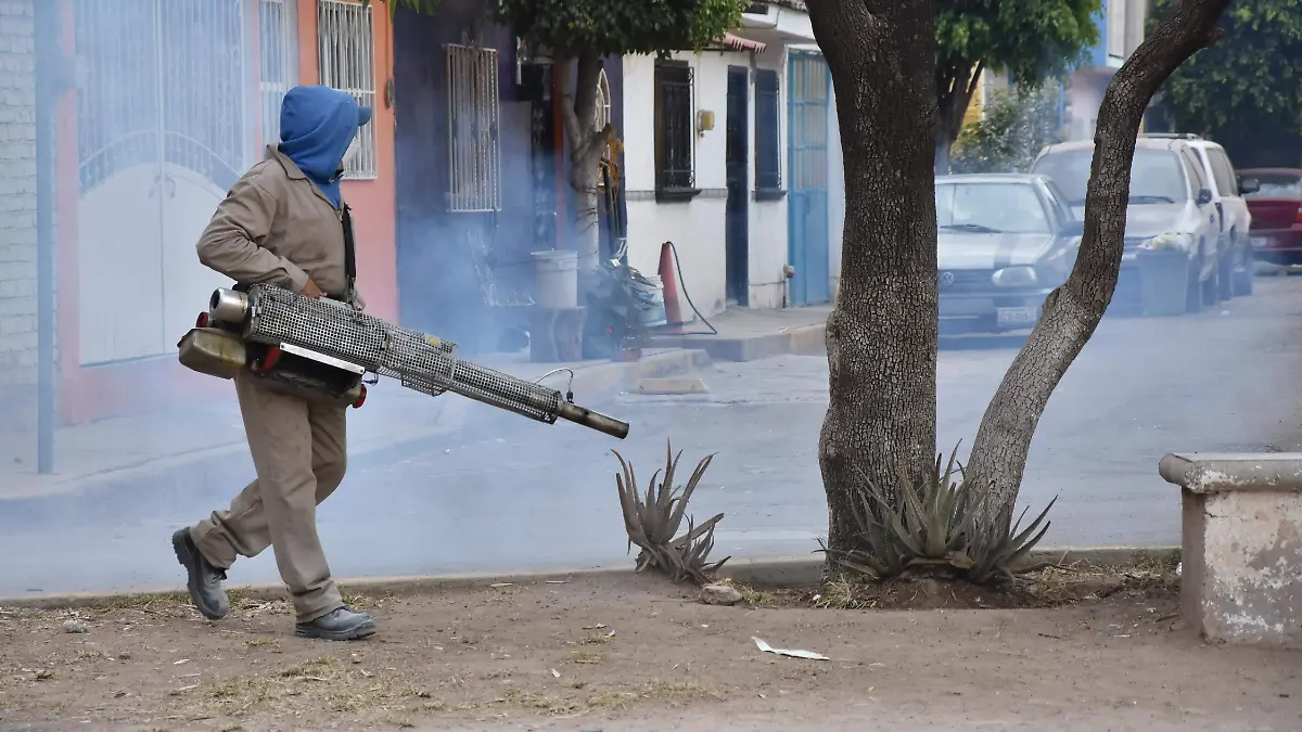 DENGUE (5)