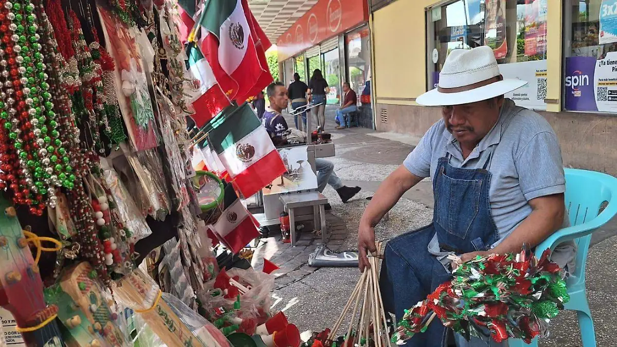 El fervor patrio llega a Irapuato, con las artesanías y el colorido tradicional a la plazuela Miguel Hidalgo (4)