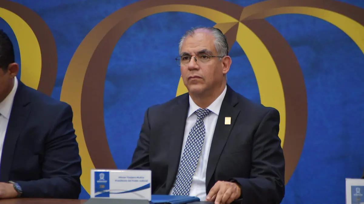 MAGISTRADOS POR VOTO POPULAR DEBE REVISAR SR  TINAJERO MUNOZ(1)