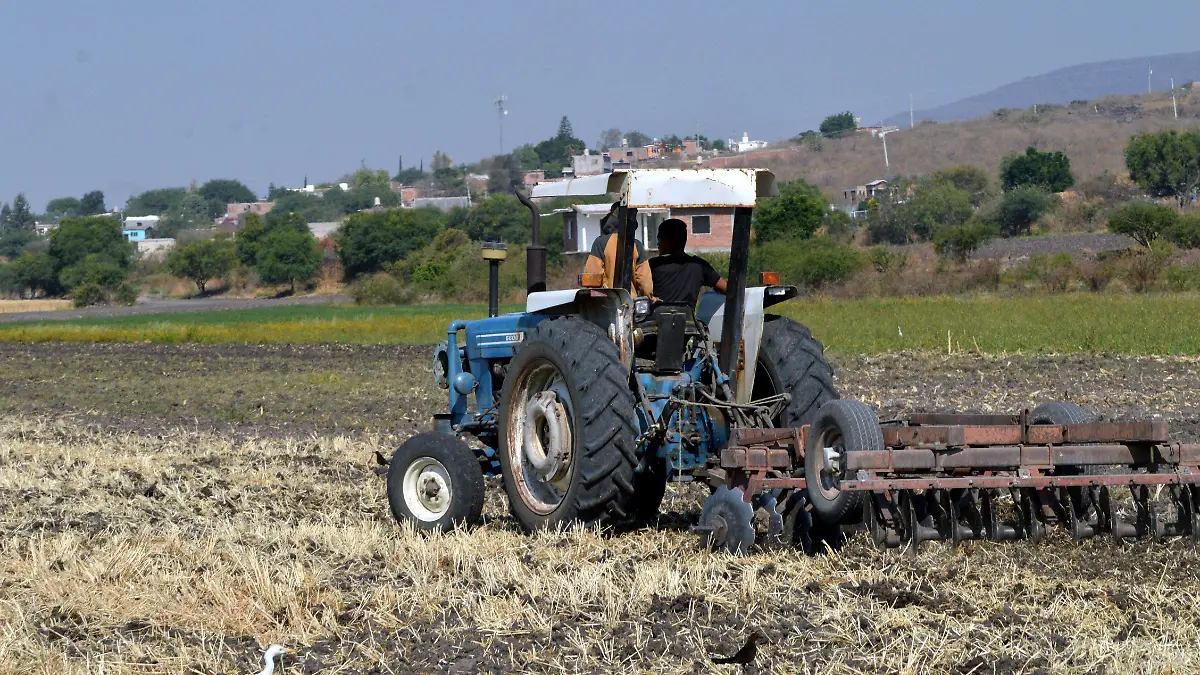 MEJORES PRONOSTICOS PARA CAMPO-JESUS GTZ EL SOL DE IRAPUATO (7)