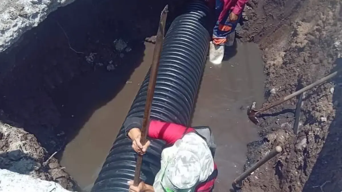 6ce8a802-ff4f-4129-91a7-7638c69a83f9