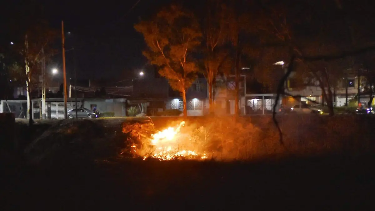 Image 2024-02-26 at 6.01.33 PM