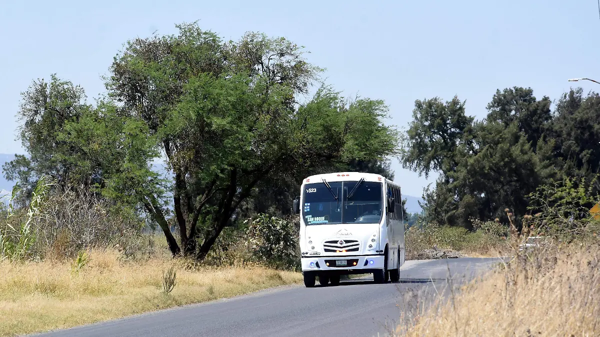 Estrategia funcional